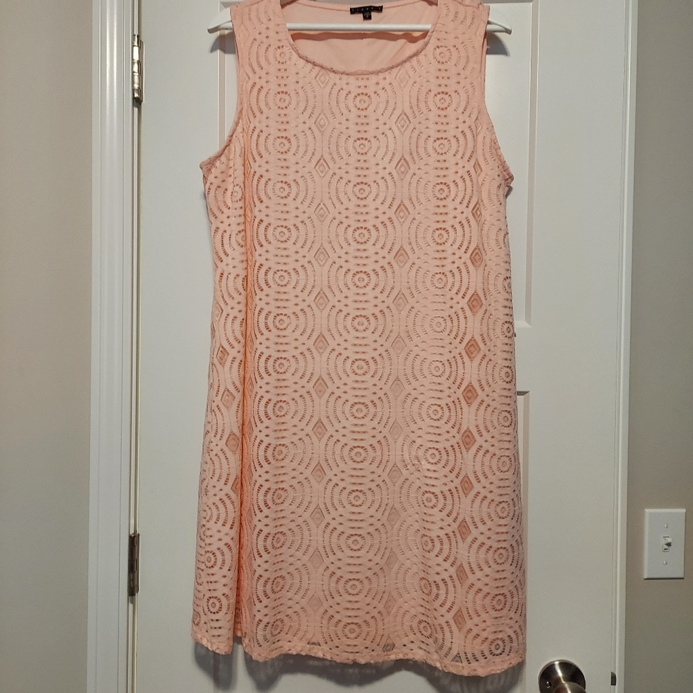 Tiana B. Elegant Peach Lace Dress Size 16 NWT